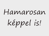 Hamarosan...